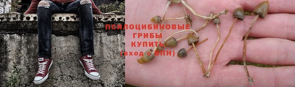 apvp Магас