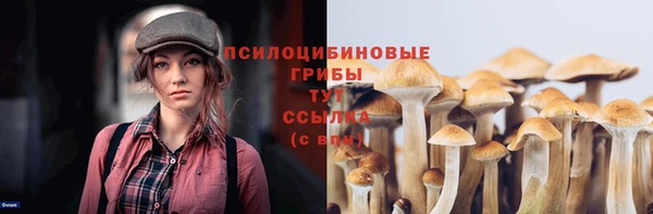 тгк Магадан