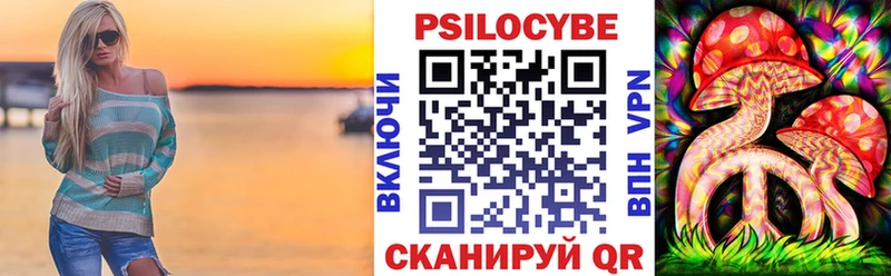 Галлюциногенные грибы Psilocybe  Купить закладки  Кириллов 